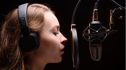 Dubbing as Cultural Heritage